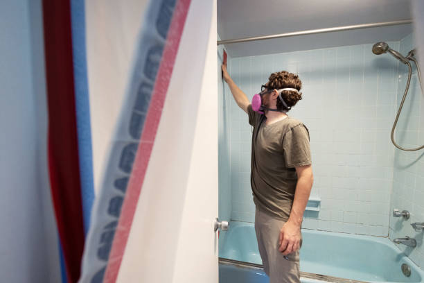  Brinckerhoff, NY Mold Removal Pros