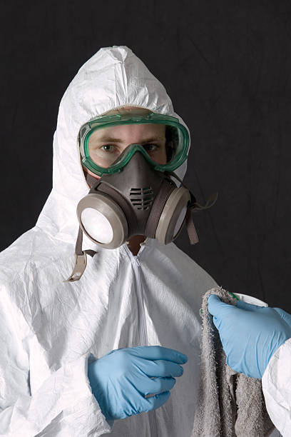 Best Crawl Space Mold Remediation  in Brinckerhoff, NY